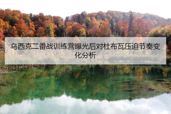 wu-xi-ke-er-fan-zhan-xun-lian-ying-bao-guang-hou-dui-du-bu-wa-ya-po-jie-zou-bian-hua-fen-xi-2-334.jpg
