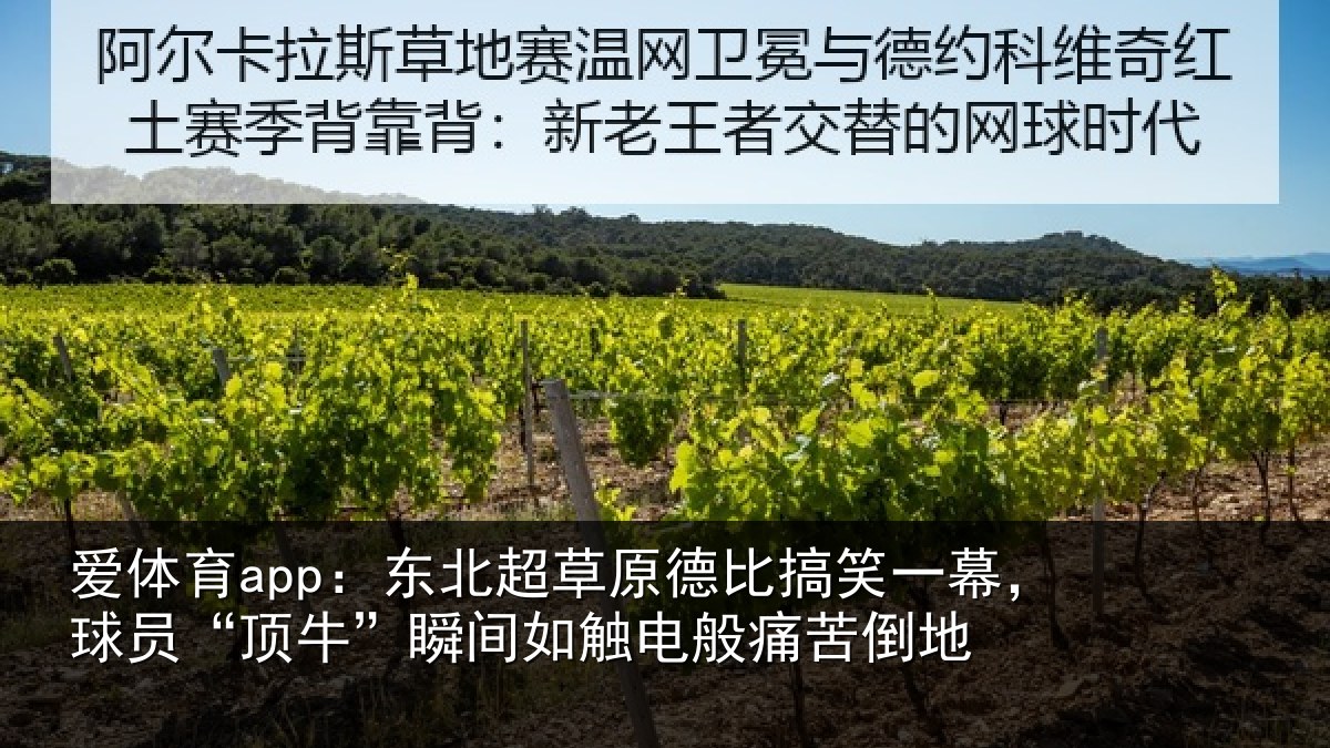 爱体育app：东北相关情况幕球相关情况般痛苦倒地