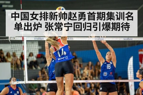 volleyball match action